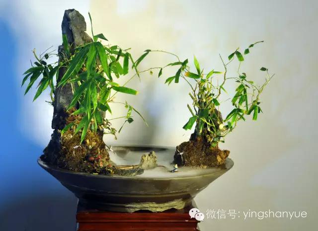 墨爻盆景作品:家鄉美景——《漢上夢溪》