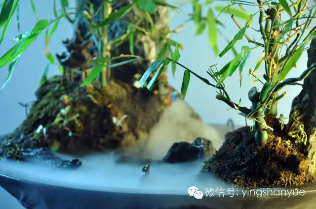 墨爻盆景作品：家鄉(xiāng)美景——《漢上夢溪》