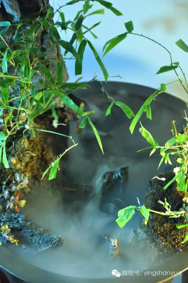 墨爻盆景作品：家鄉(xiāng)美景——《漢上夢溪》