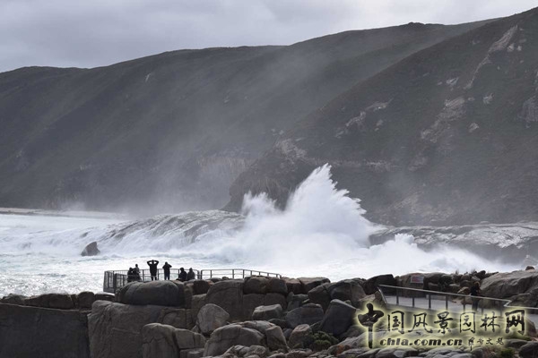 10月5日頭條：澳大利亞Torndirrup國家公園天生橋
