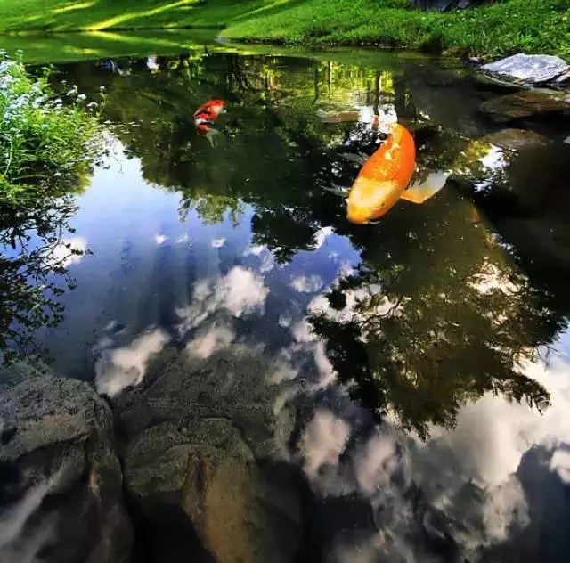 日本園林特征淺析