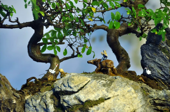 墨爻盆景作品：古樹寒溪，牧童歸去——《雙榆溪隱》