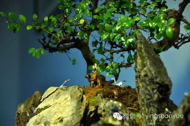 墨爻盆景作品：古樹寒溪，牧童歸去——《雙榆溪隱》