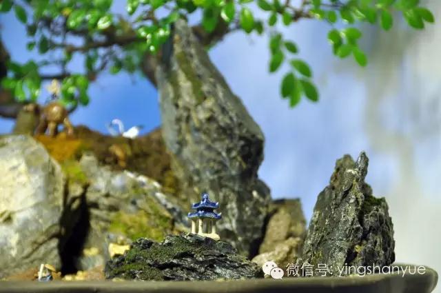 墨爻盆景作品:古樹寒溪,牧童歸去——《雙榆溪隱》