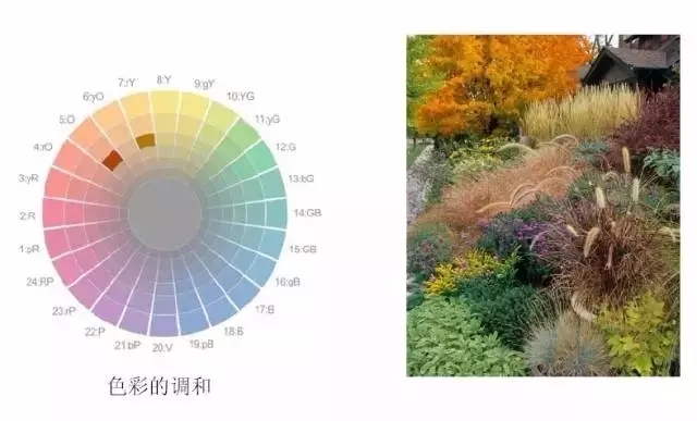 花鏡設計方法之色彩構成