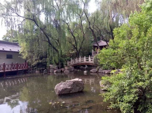 西安最好的園子考察筆記(中)