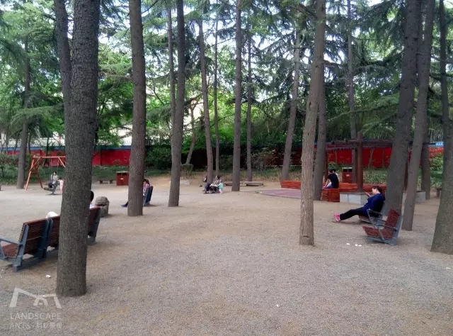 西安最好的園子考察筆記(中)