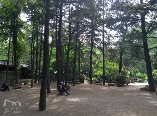 西安最好的園子考察筆記(中)