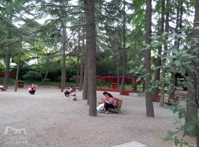 西安最好的園子考察筆記(中)