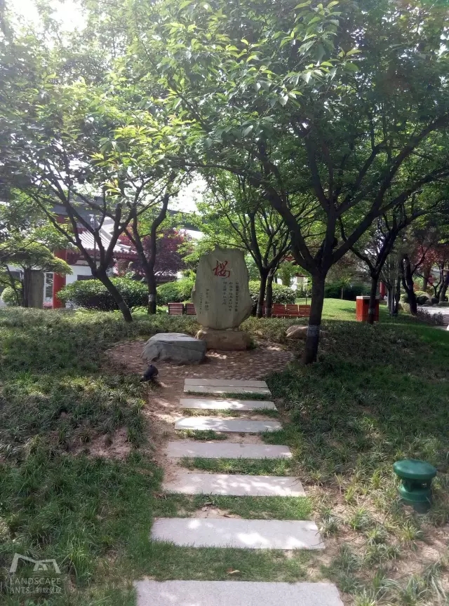 西安最好的園子考察筆記（下）