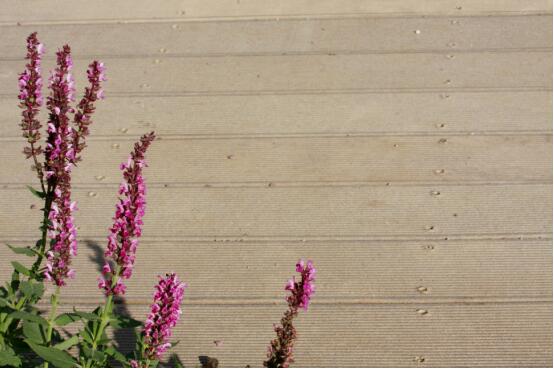 環(huán)保新材料帶來節(jié)約型園林綠化發(fā)展新途徑