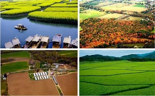 上海浦東新區大治河生態廊道專項規劃獲批