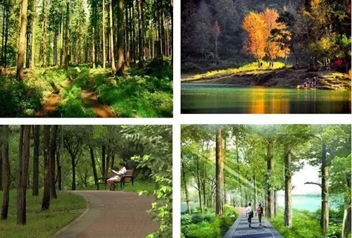 上海浦東新區大治河生態廊道專項規劃獲批