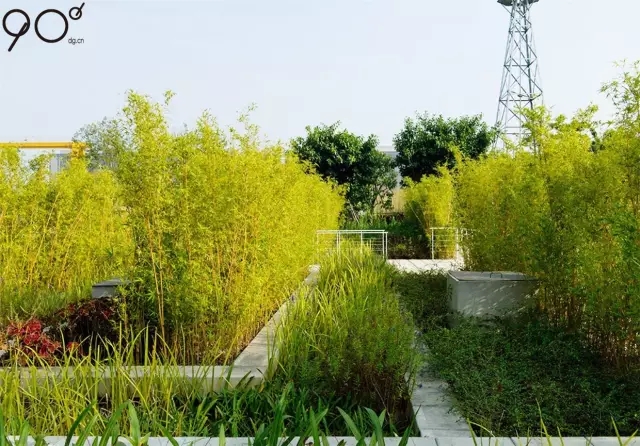 低維護生態園區:萬科研究中心