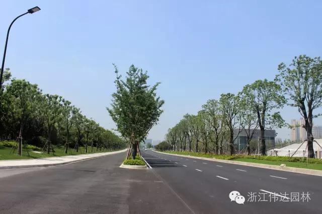 偉達園林獲G20杭州峰會服務保障突出貢獻獎