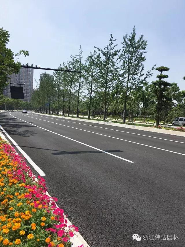 偉達園林獲G20杭州峰會服務保障突出貢獻獎