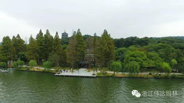 偉達園林獲G20杭州峰會服務保障突出貢獻獎