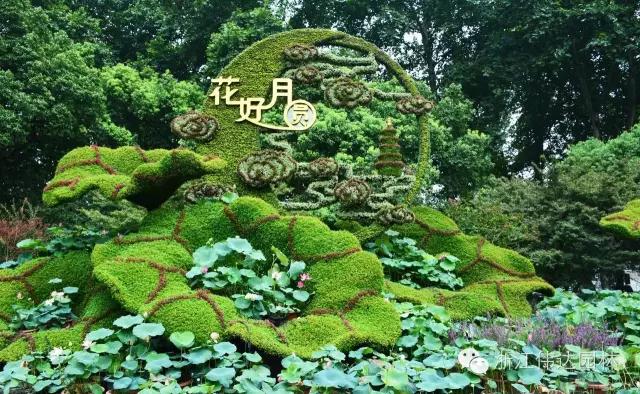 偉達園林獲G20杭州峰會服務保障突出貢獻獎