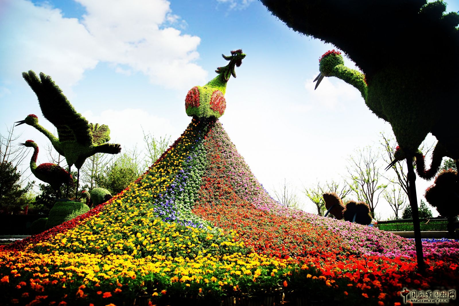 2016園冶杯專業獎參賽項目：唐山世園會綠雕