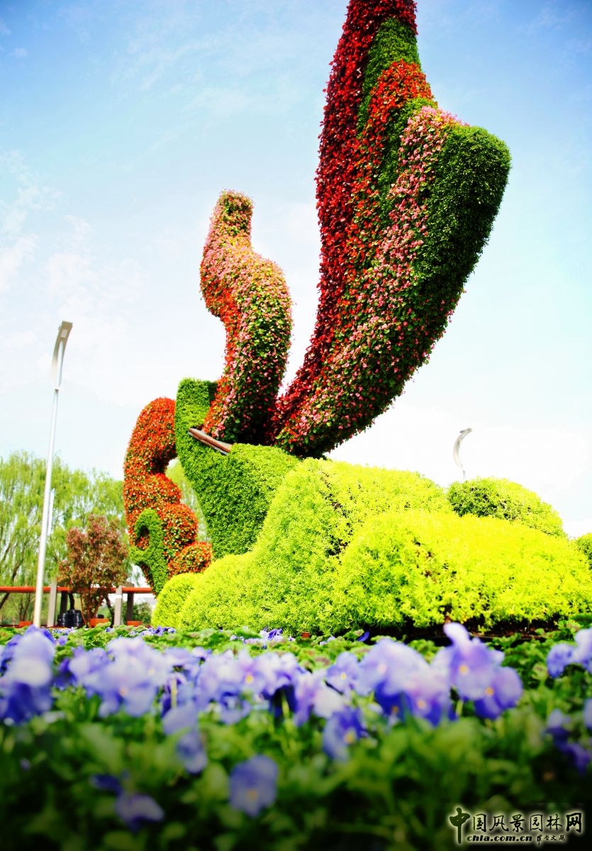 2016園冶杯專業獎參賽項目：唐山世園會綠雕