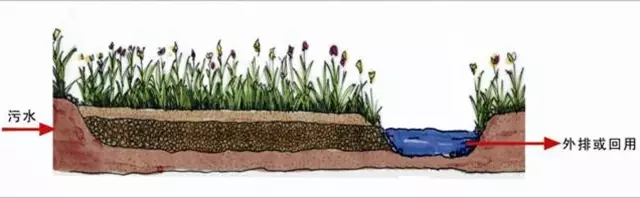 河道景觀中六大生態修復技術，你知道嗎？