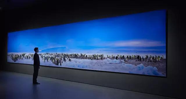 金螳螂：羅紅攝影藝術館室內裝飾工程