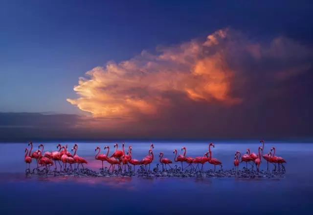 金螳螂:羅紅攝影藝術館室內裝飾工程