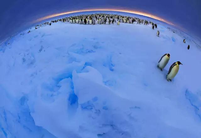 金螳螂：羅紅攝影藝術(shù)館室內(nèi)裝飾工程