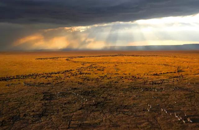 金螳螂：羅紅攝影藝術(shù)館室內(nèi)裝飾工程