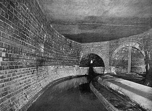 5分鐘讀懂生態(tài)智慧