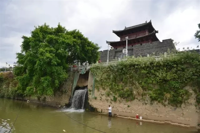 5分鐘讀懂生態智慧