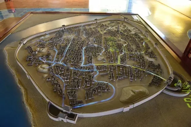 5分鐘讀懂生態智慧