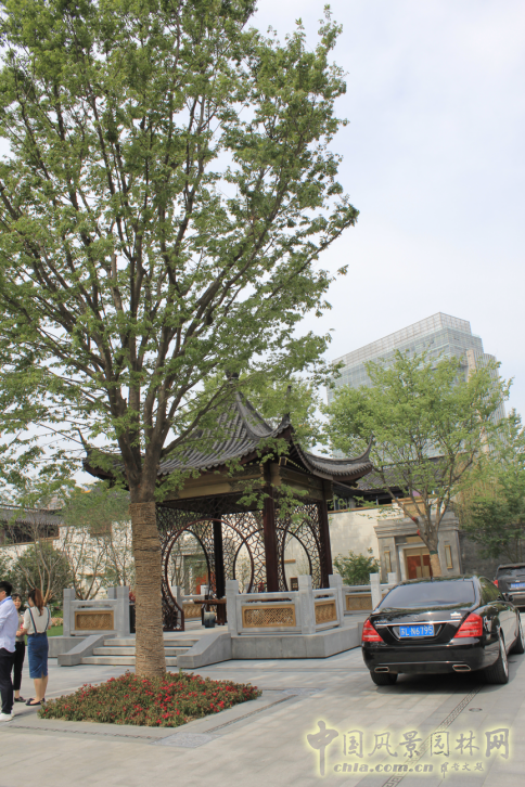 2016園冶杯專業獎參賽項目：泰禾南京院子項目示范區