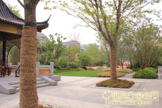 2016園冶杯專業獎參賽項目：泰禾南京院子項目示范區