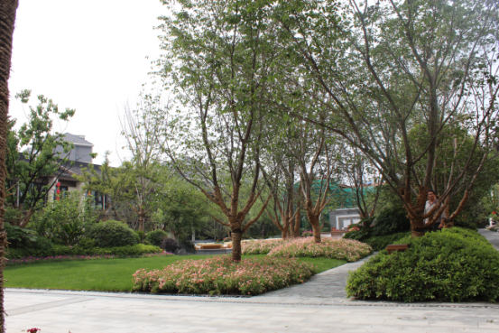 2016園冶杯專業獎參賽項目：泰禾南京院子項目示范區