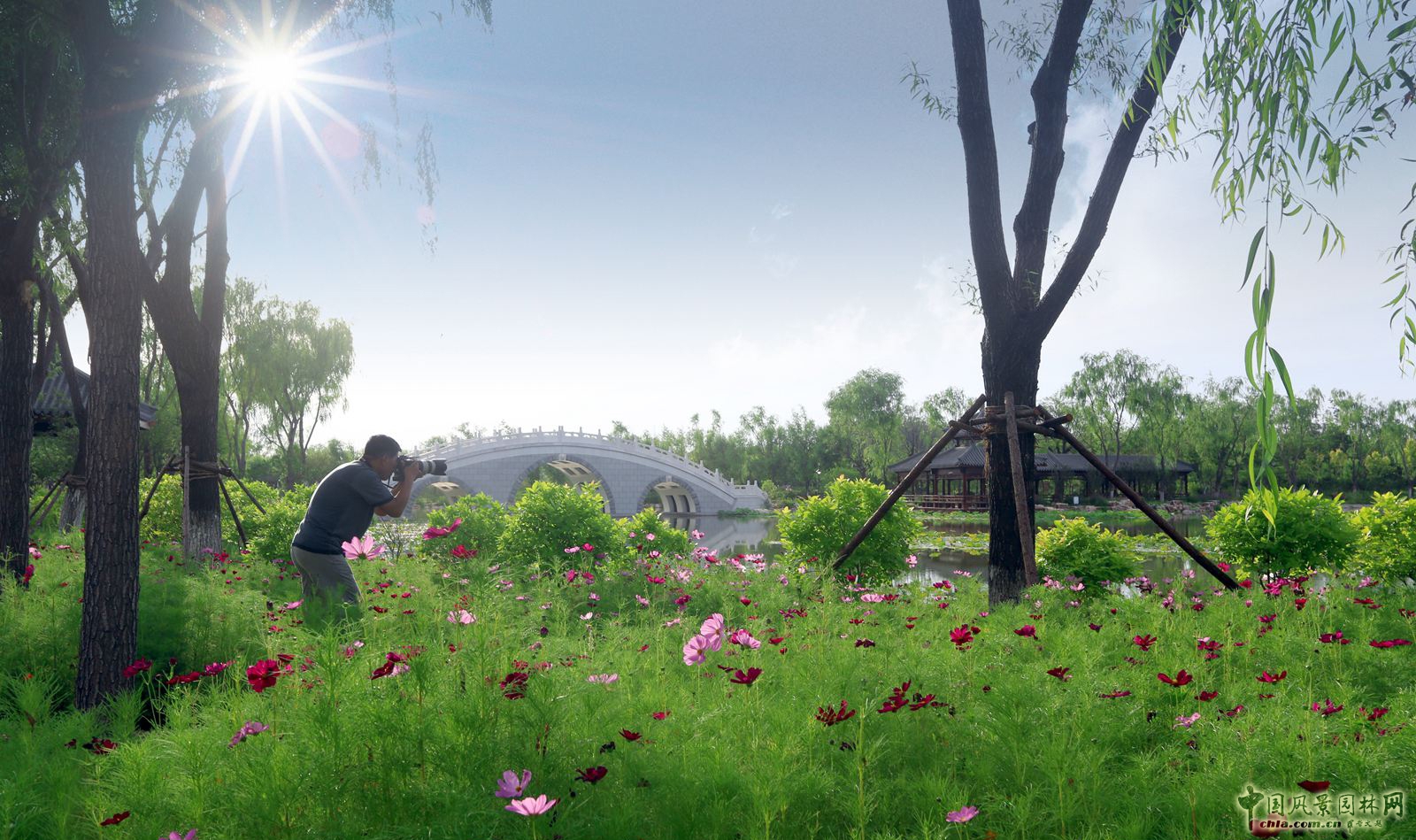 2016園冶杯專業獎參賽項目:天津武清津北森林公園