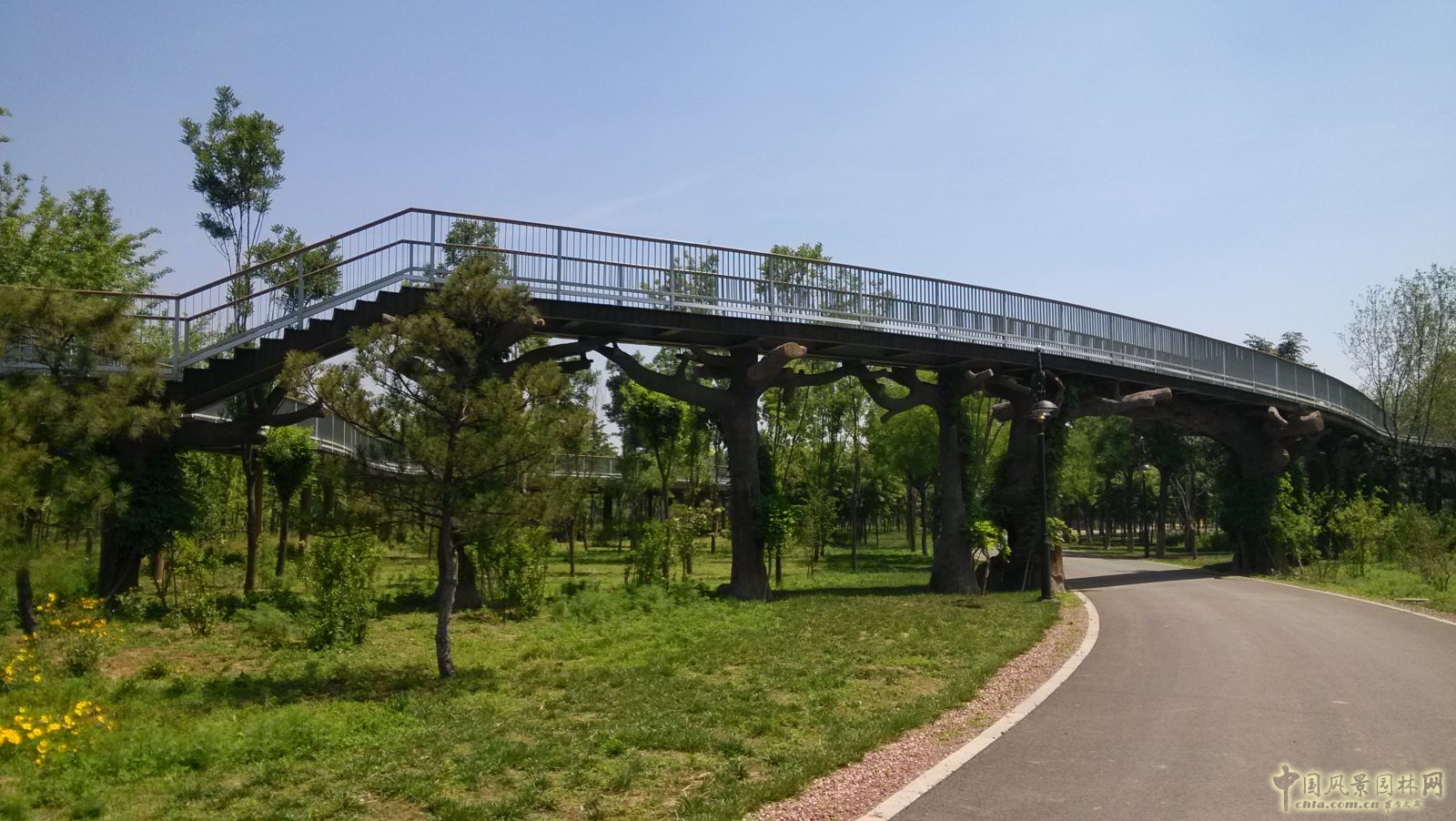 2016園冶杯專業獎參賽項目:天津武清津北森林公園