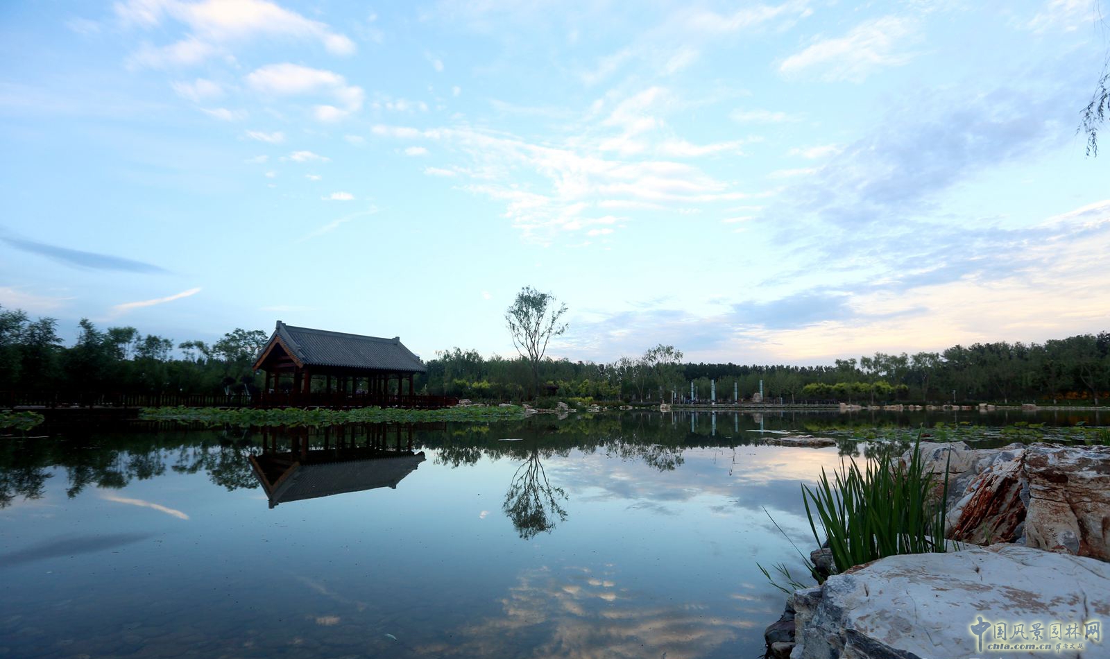 2016園冶杯專業獎參賽項目:天津武清津北森林公園
