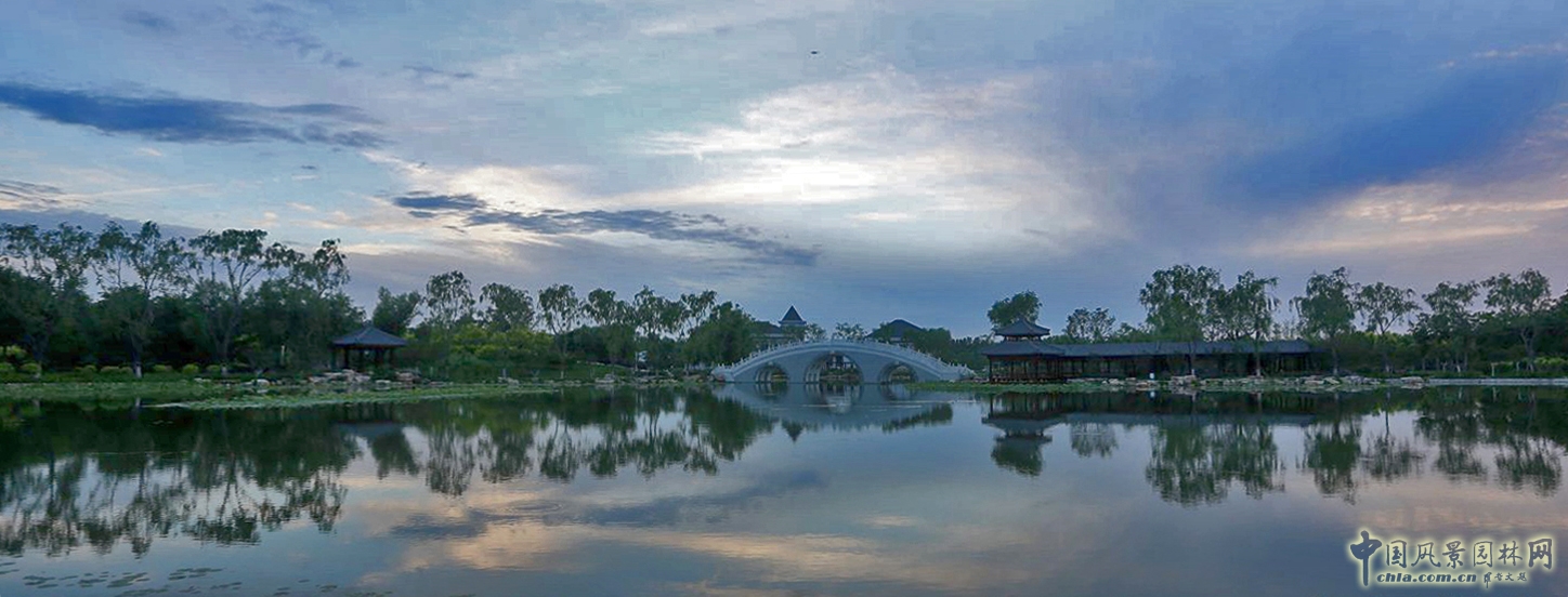 2016園冶杯專業獎參賽項目:天津武清津北森林公園