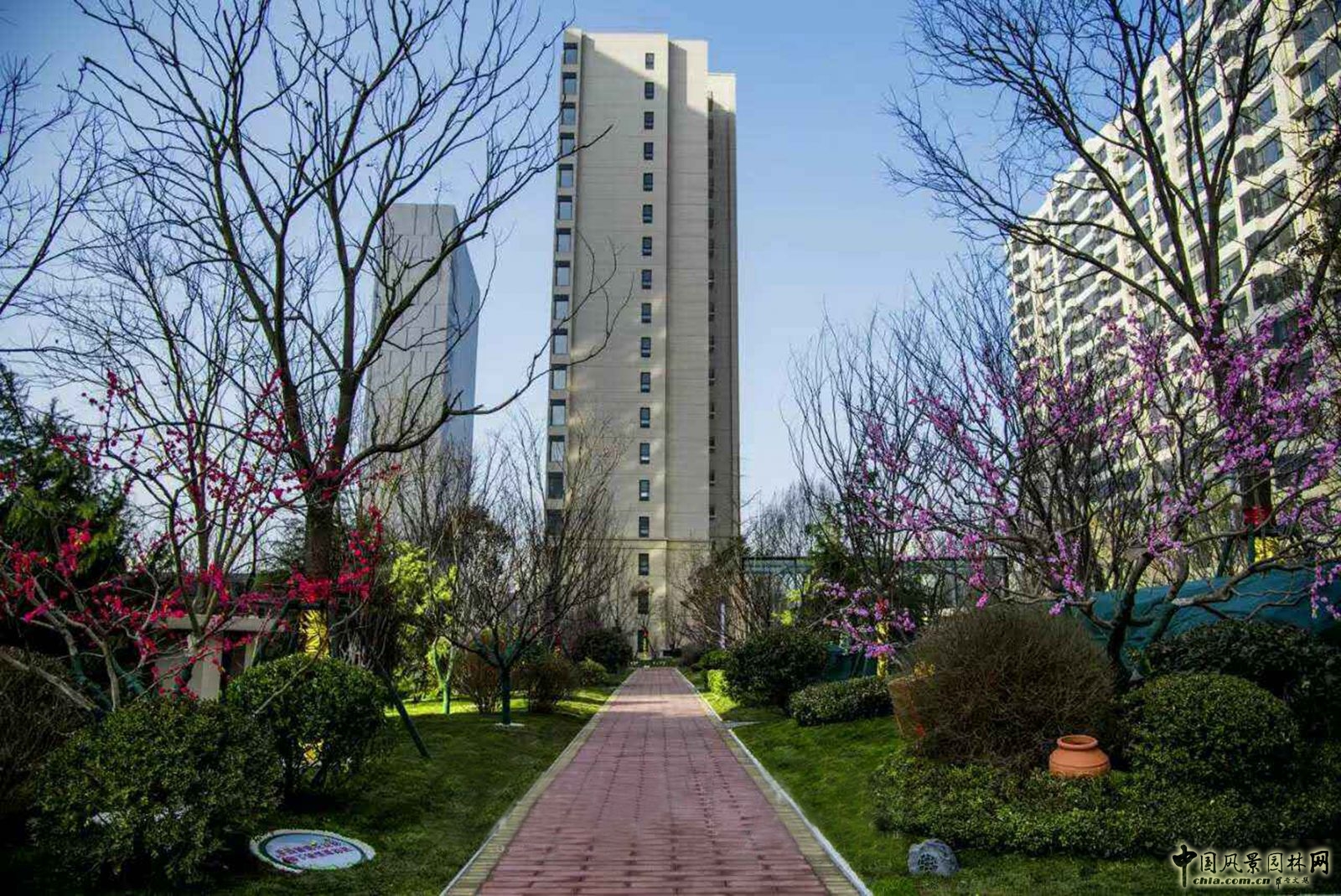 2016園冶杯專業獎參賽項目：濟南萬科金域國際B地塊