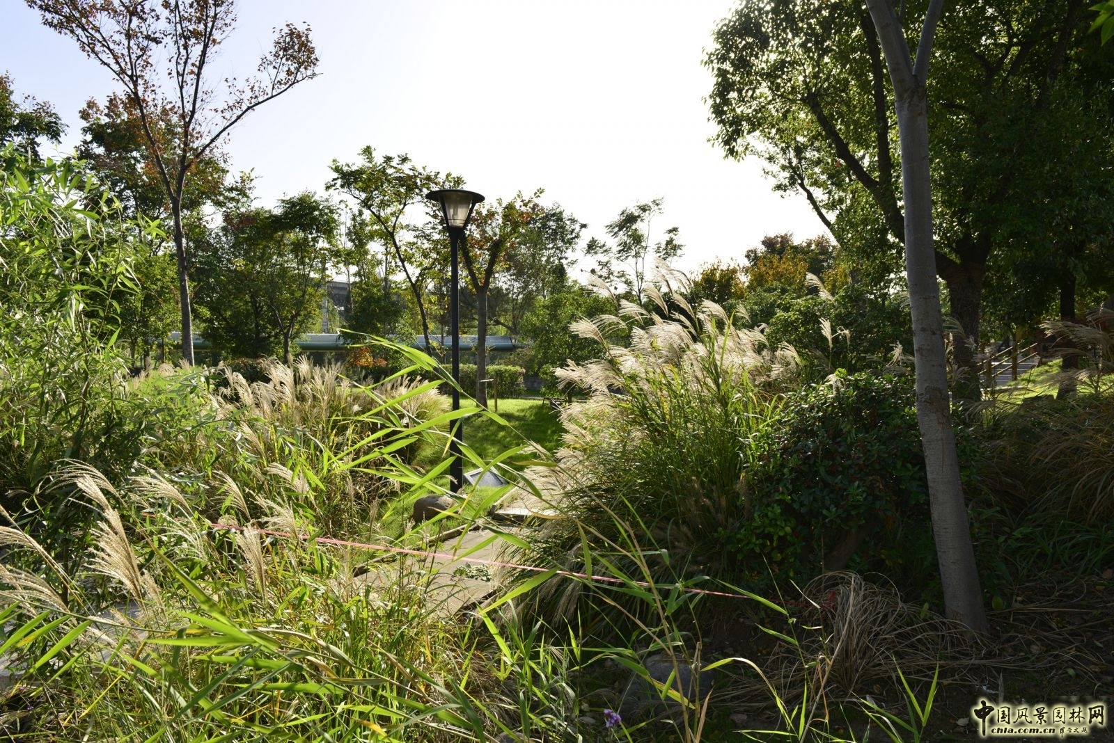 2016園冶杯專業獎參賽項目：無錫新區前進路伯瀆港濱水公園景觀設計