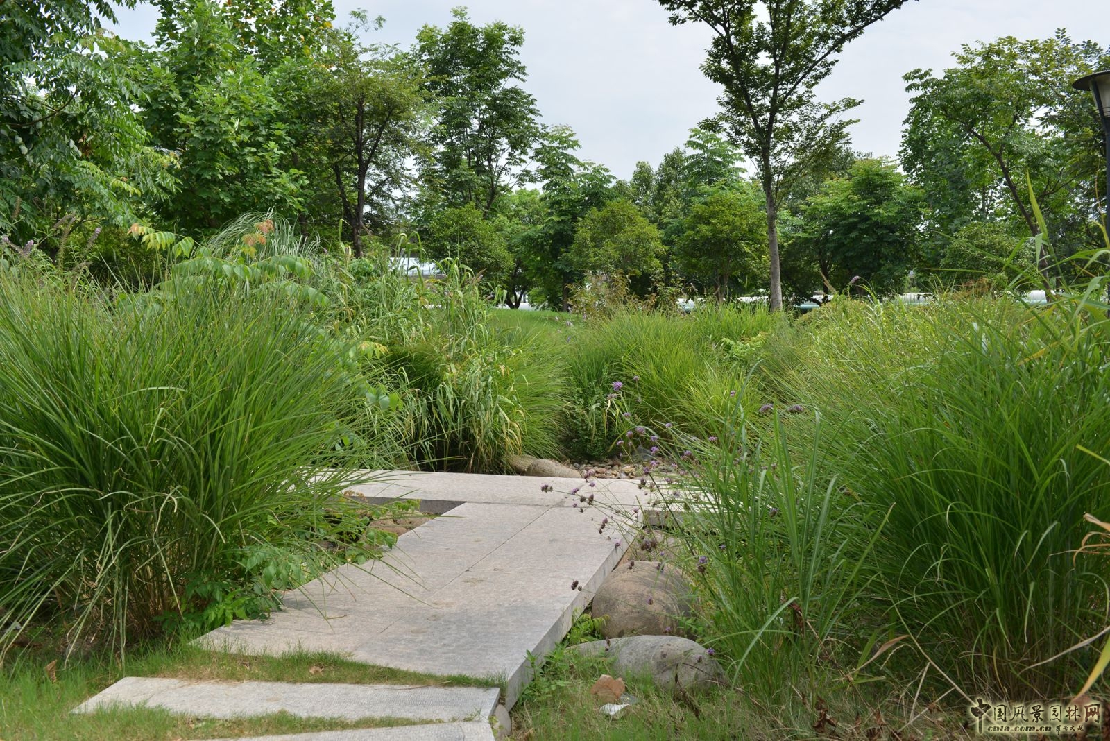 2016園冶杯專業獎參賽項目：無錫新區前進路伯瀆港濱水公園景觀設計