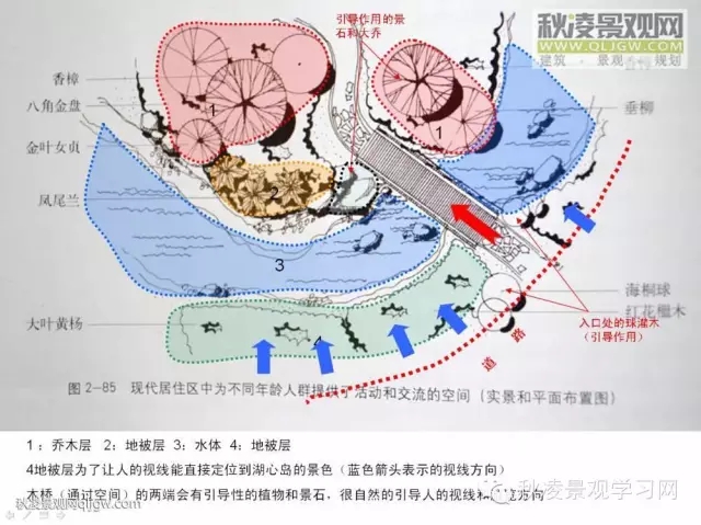 不得不看的植物營造實物圖解析