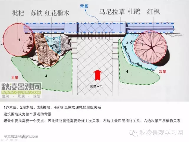 不得不看的植物營造實物圖解析