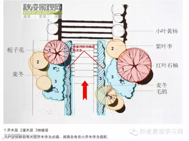 不得不看的植物營造實物圖解析
