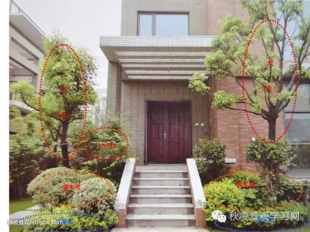 不得不看的植物營造實物圖解析