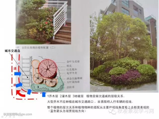 不得不看的植物營(yíng)造實(shí)物圖解析