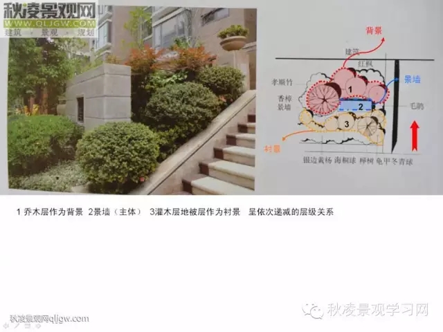 不得不看的植物營(yíng)造實(shí)物圖解析