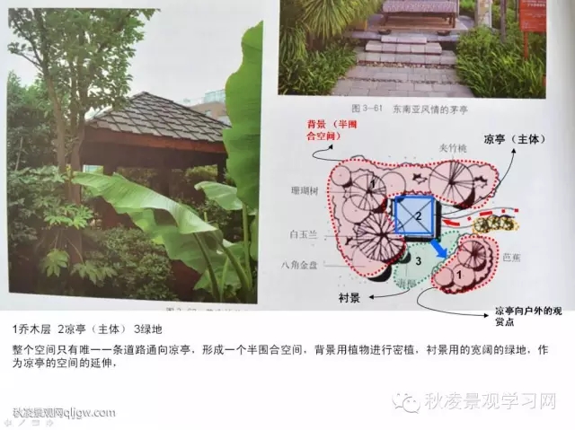 不得不看的植物營(yíng)造實(shí)物圖解析