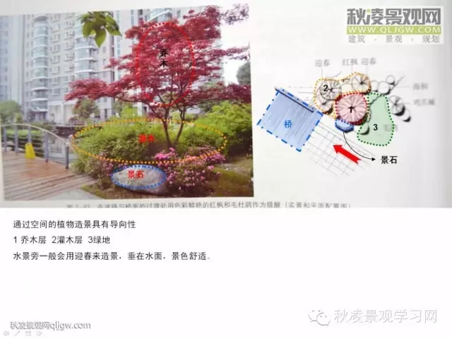 不得不看的植物營(yíng)造實(shí)物圖解析